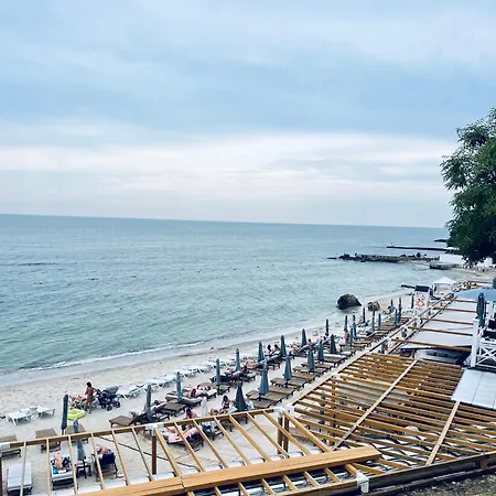 Daire 6 жемчужина